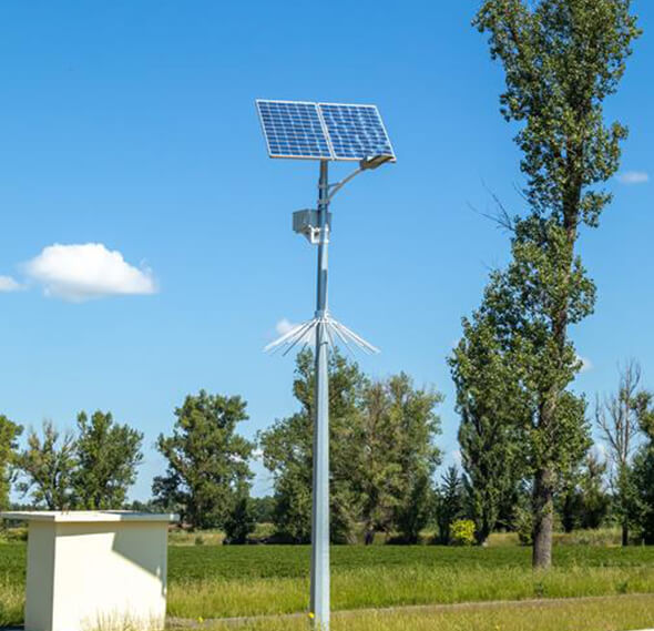 Street light poles feature